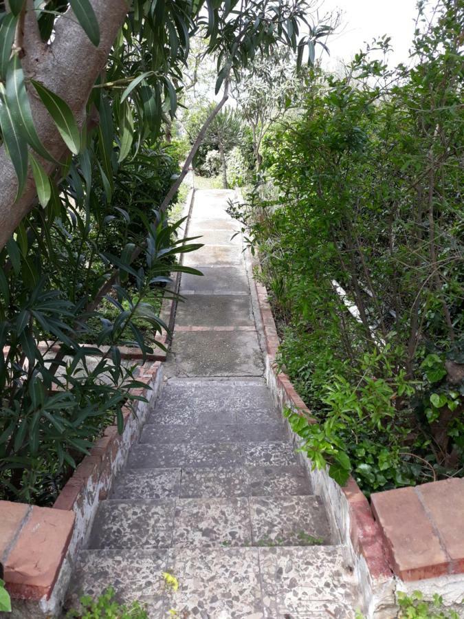 Villa Belvedere Michelle Trappeto  Exterior foto